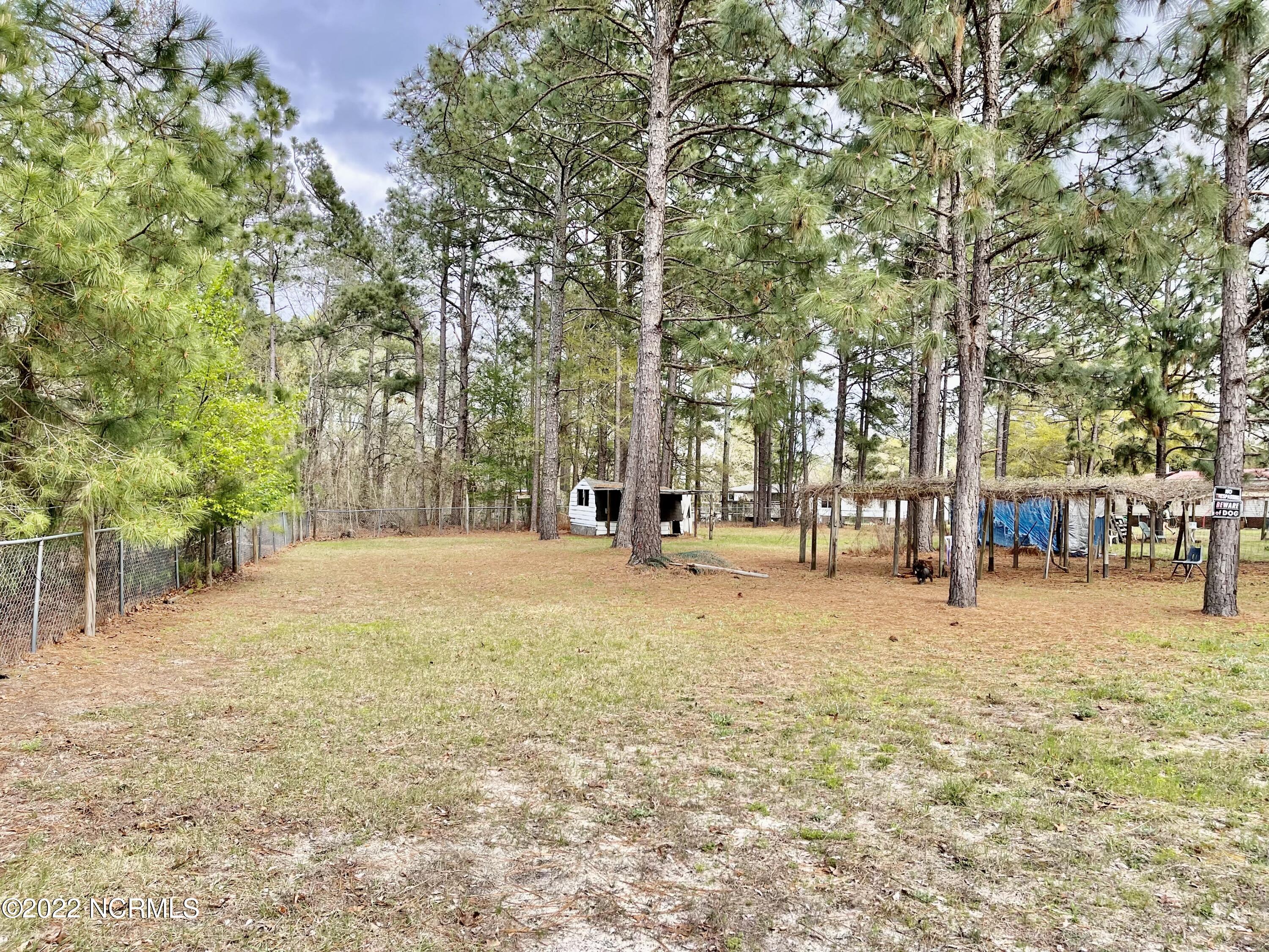 125 Greenbriar Lane Rockingham, NC 28379 - Photo 40 of 44 Backyard