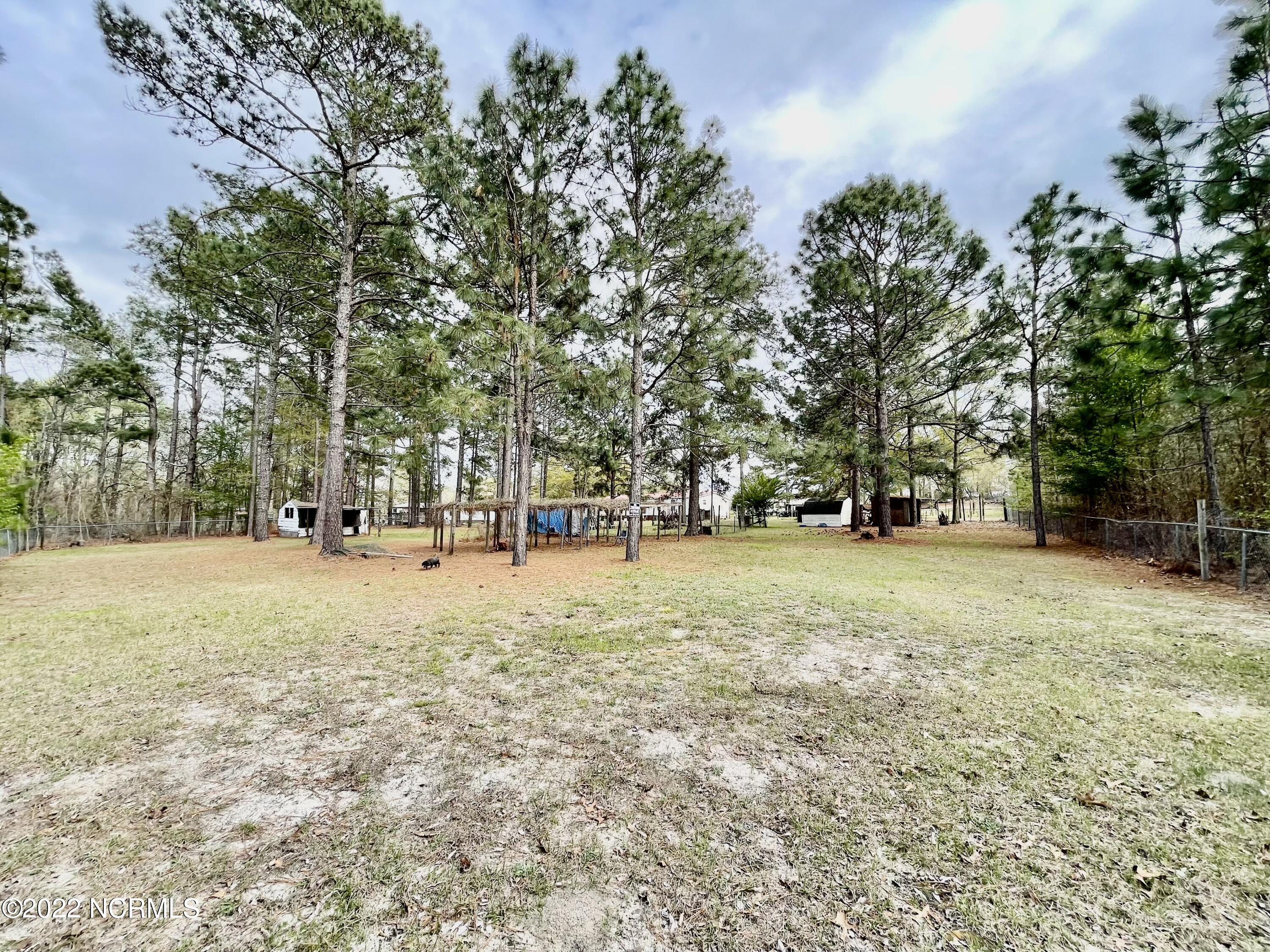 125 Greenbriar Lane Rockingham, NC 28379 - Photo 41 of 44 Backyard