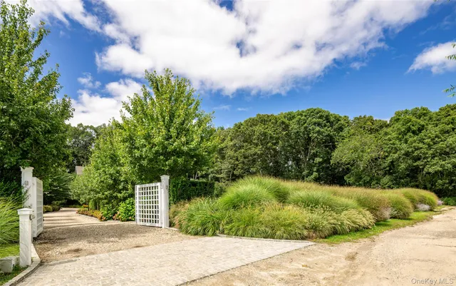 a view of a garden with a pathway