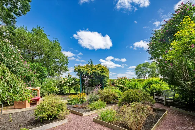 a view of a flower in a garden