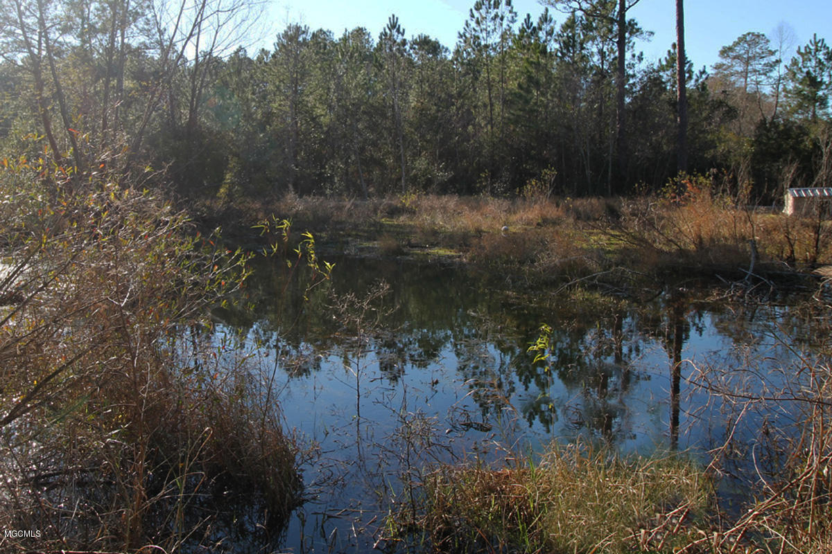 10908 Laakso Road Moss Point, MS 39562 - Photo 39 of 44 5 (7)