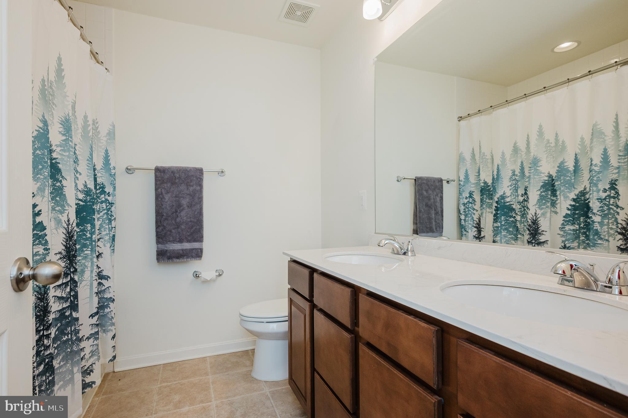 5417 Old Frederick Road Baltimore, MD 21229 - Photo 28 of 44 Hall Full Bath