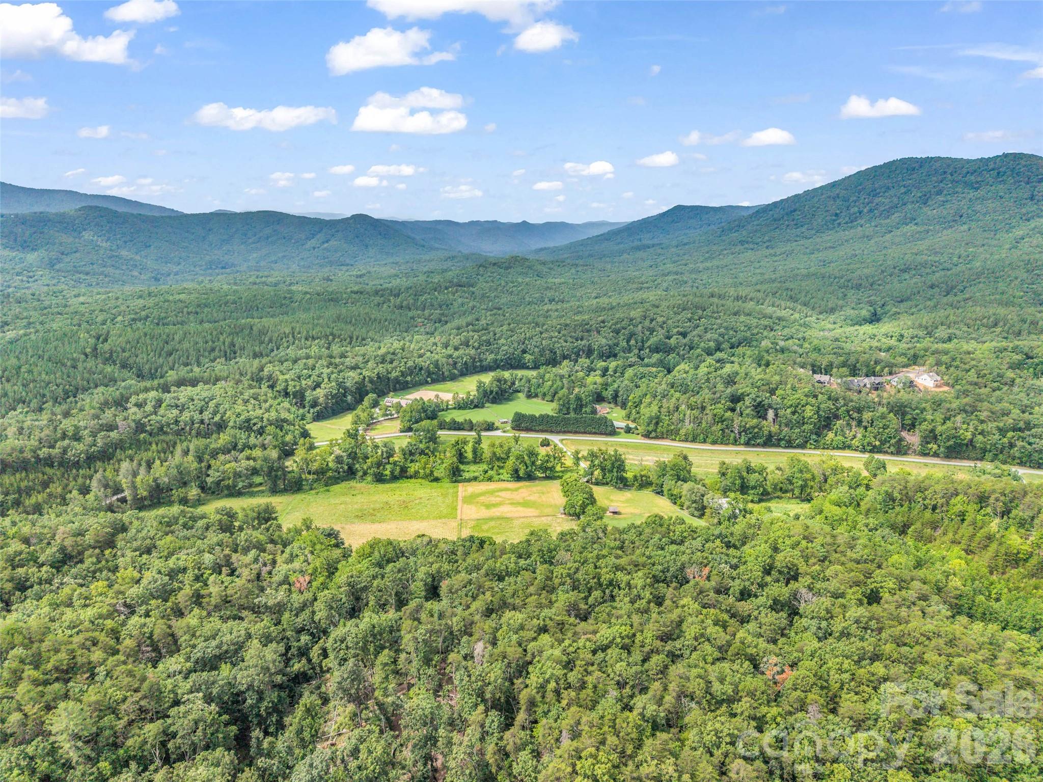 1870 Palmer Road Mill Spring, NC 28756 - Photo 43 of 48 Gallery Image 43