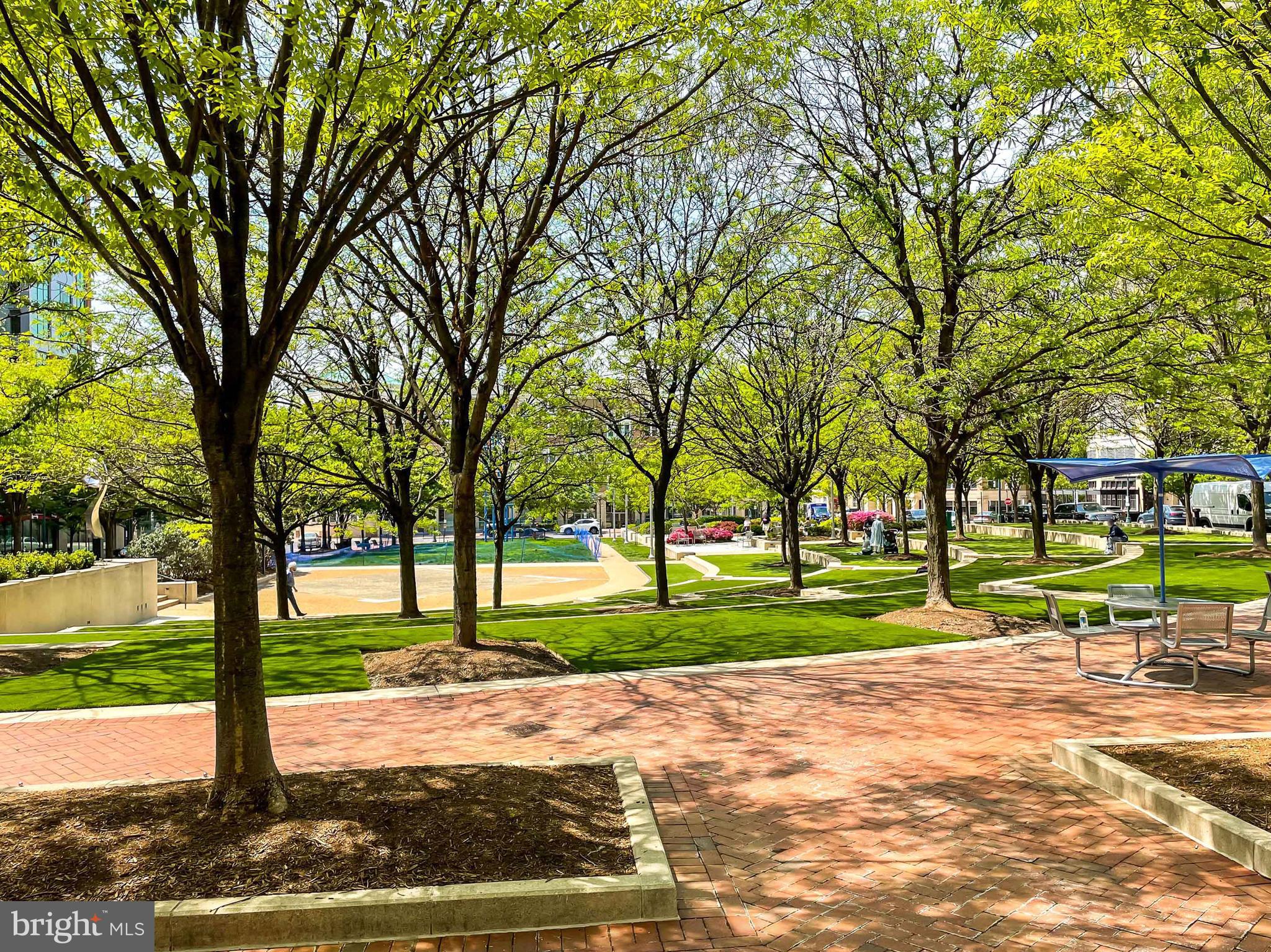 11563 Ivy Bush Court Reston, VA 20191 - Photo 37 of 48 a view of a park with large trees