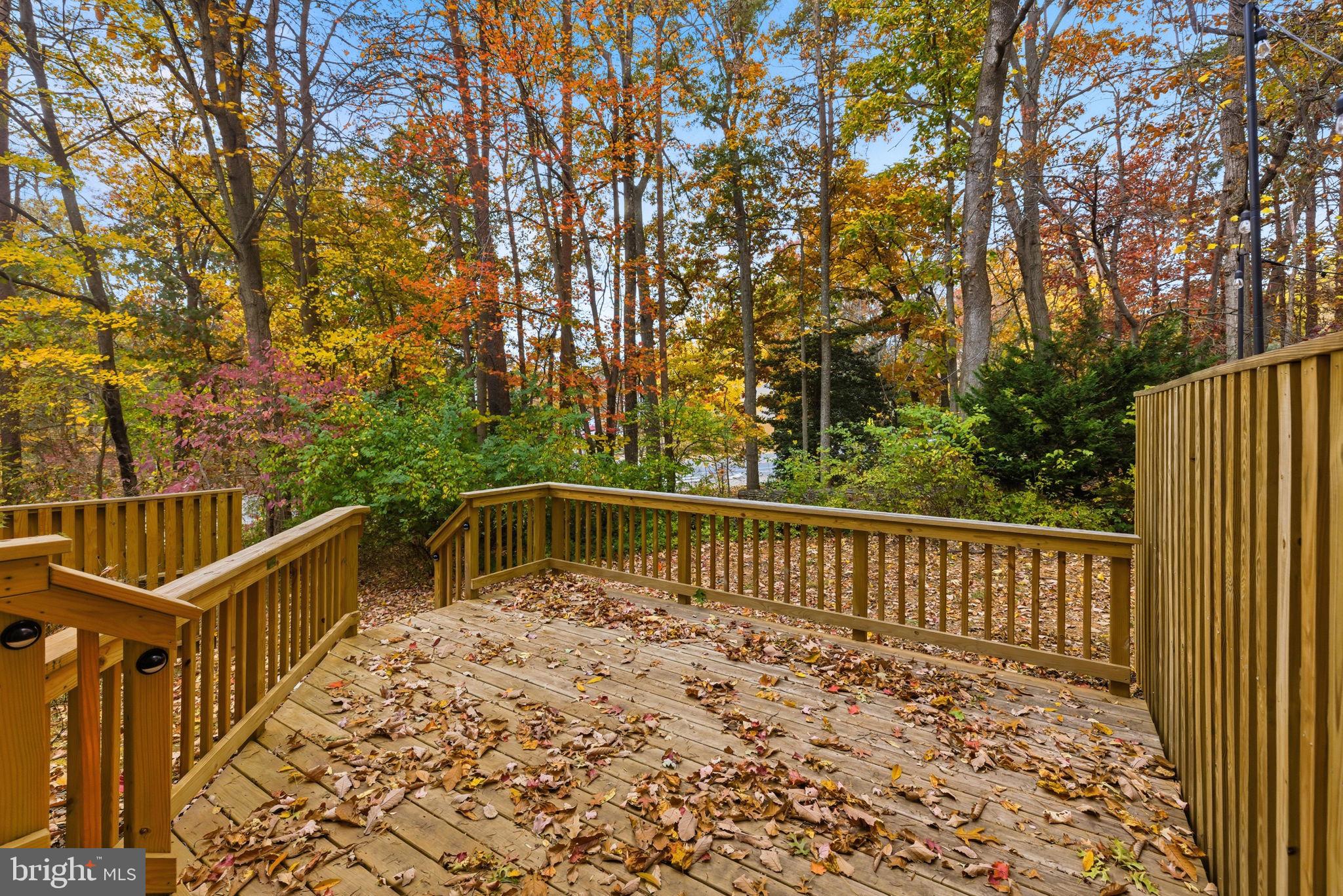 11563 Ivy Bush Court Reston, VA 20191 - Photo 4 of 48 a view of balcony with wooden fence and trees