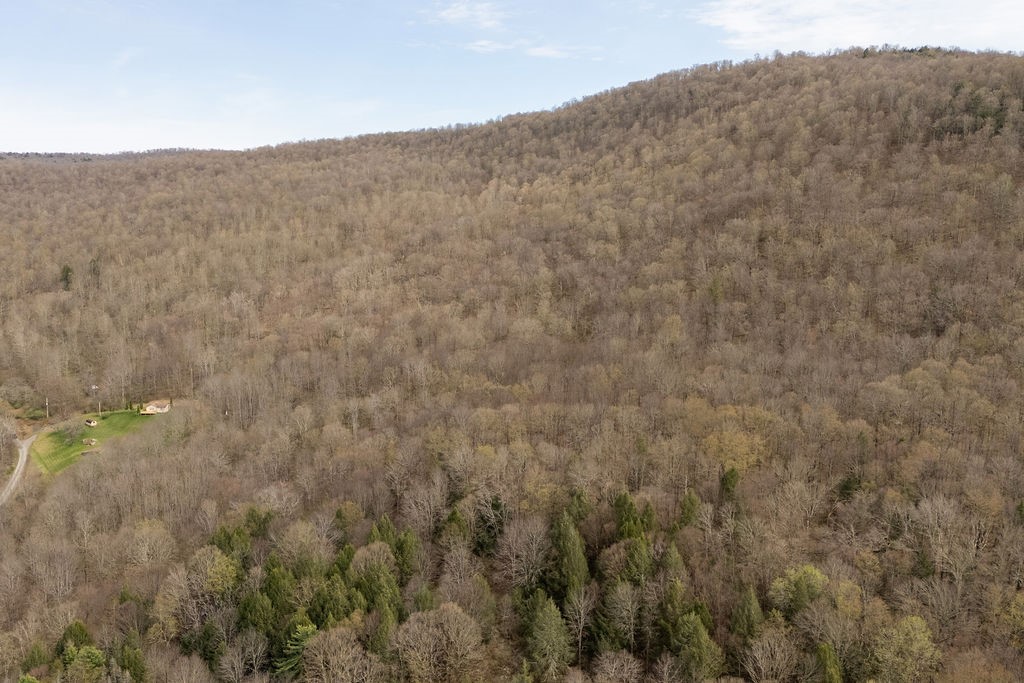 280 Lewis Road Tompkins, NY 13856 - Photo 39 of 45