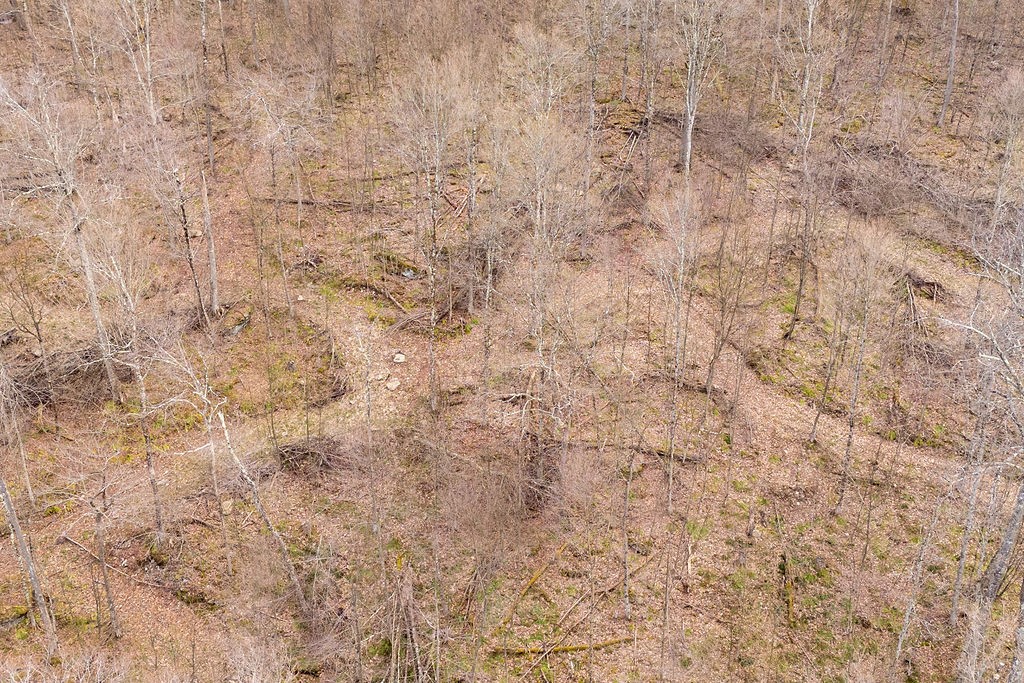 280 Lewis Road Tompkins, NY 13856 - Photo 41 of 45