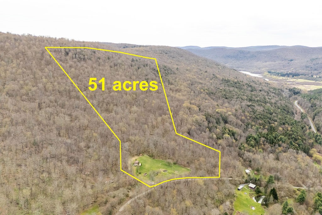 280 Lewis Road Tompkins, NY 13856 - Photo 9 of 45