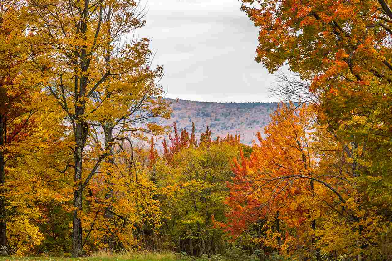 81 Russet Hill Road Londonderry, VT 05148 - Photo 30 of 34 Gallery Image 30