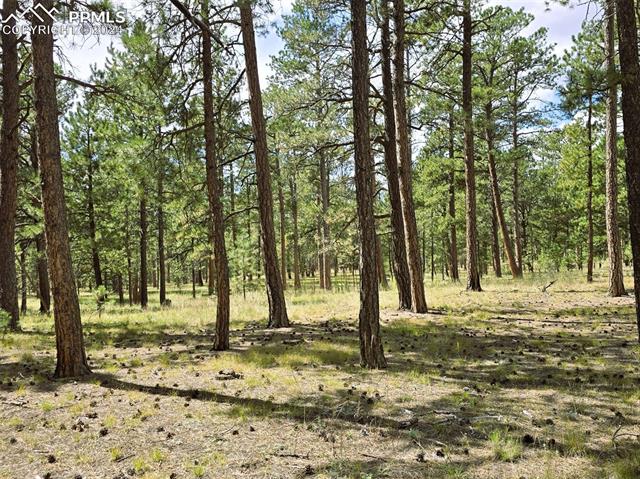 0 Meridian Road Colorado Springs, CO 80908 - Photo 15 of 21