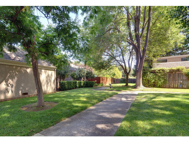 13 Farm Road Los Altos, CA 94024 - Photo 10 of 10 a view of a yard with palm trees