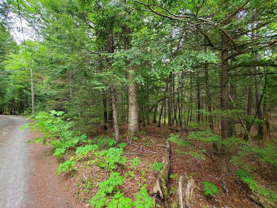 Lot 7 Heath Road Ellsworth, ME 04605 - Photo 6 of 37 20260528_143830_resized