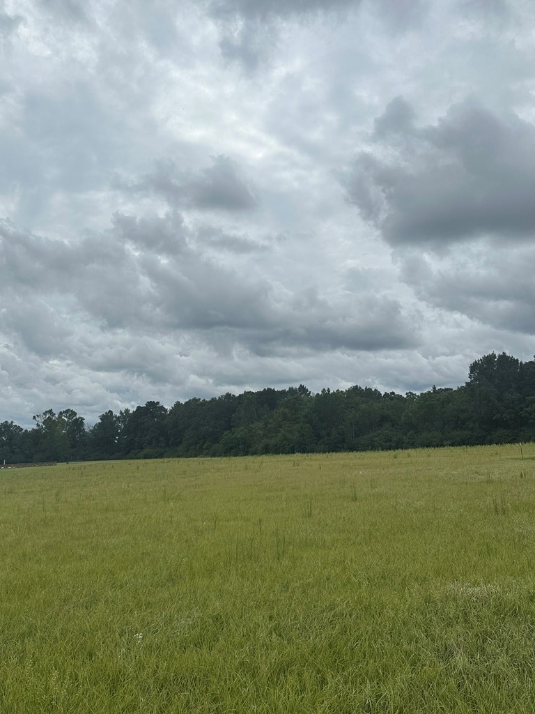 Lot 1 Hadden Road Dothan, AL 36301 - Photo 6 of 8