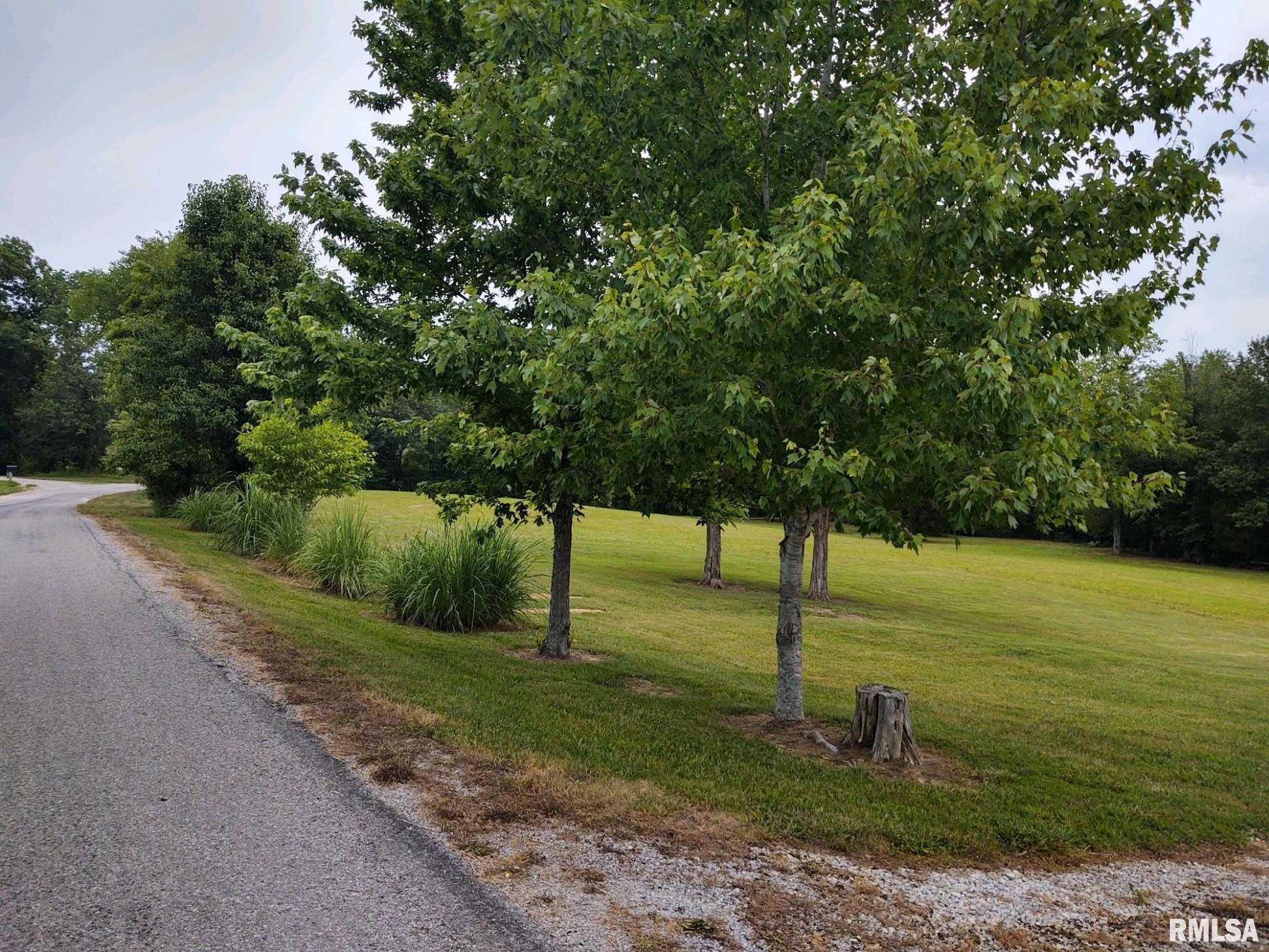 90 Old Home Road Eddyville, IL 62928 - Photo 2 of 20 Gallery Image 2