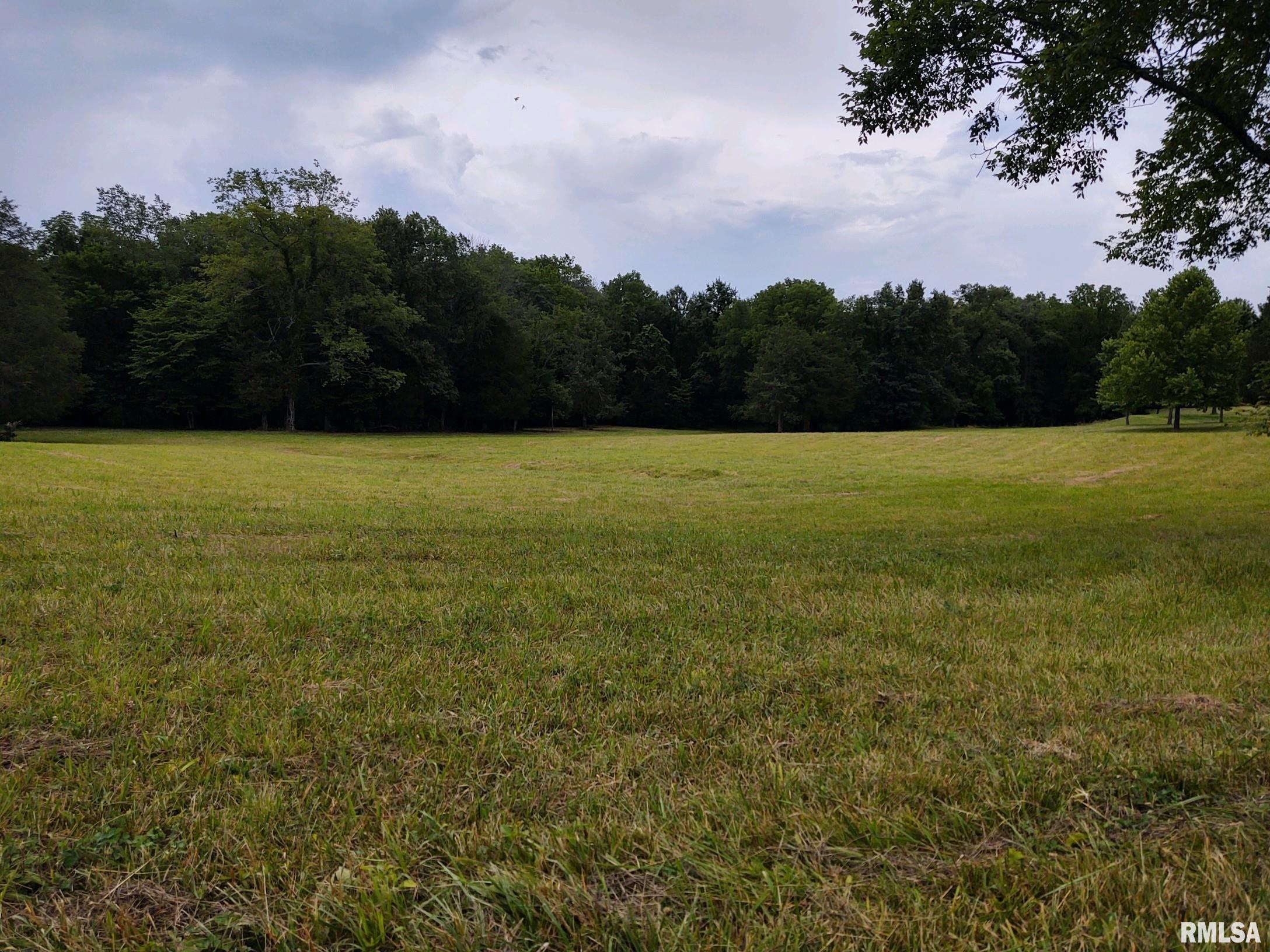 90 Old Home Road Eddyville, IL 62928 - Photo 10 of 20 Gallery Image 10