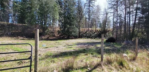 a view of water pond with green yard