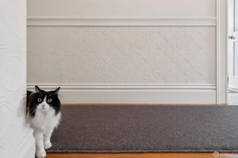 a backyard of a house