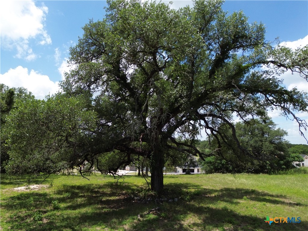 731 Santa Maria Road Salado, TX 76571 - Photo 12 of 15