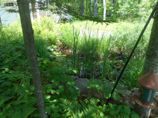 4 Heritage Street Millinocket, ME 04462 - Photo 35 of 39 DSCN8606