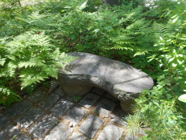 4 Heritage Street Millinocket, ME 04462 - Photo 36 of 39 DSCN8607