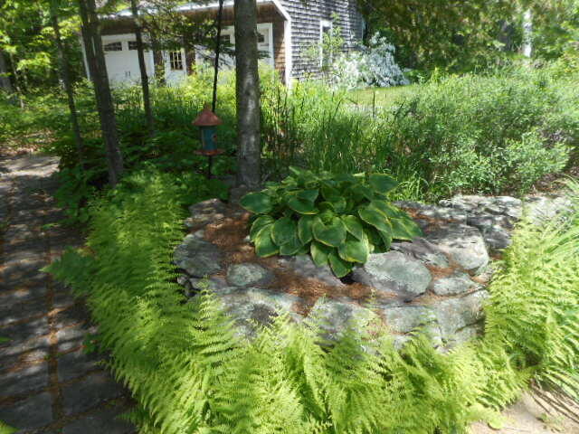 4 Heritage Street Millinocket, ME 04462 - Photo 38 of 39 DSCN8609