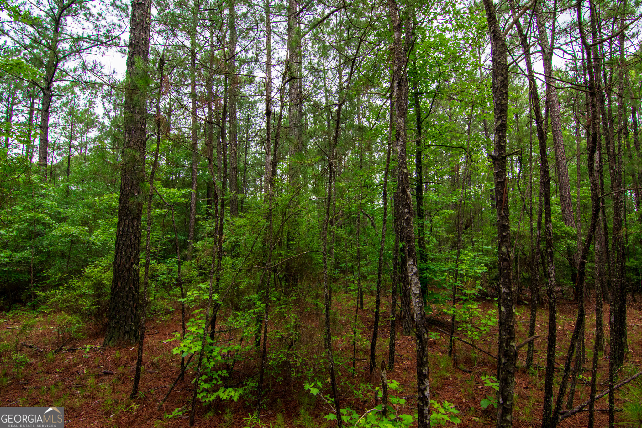 0 White Road Pine Mountain, GA 31822 - Photo 6 of 9