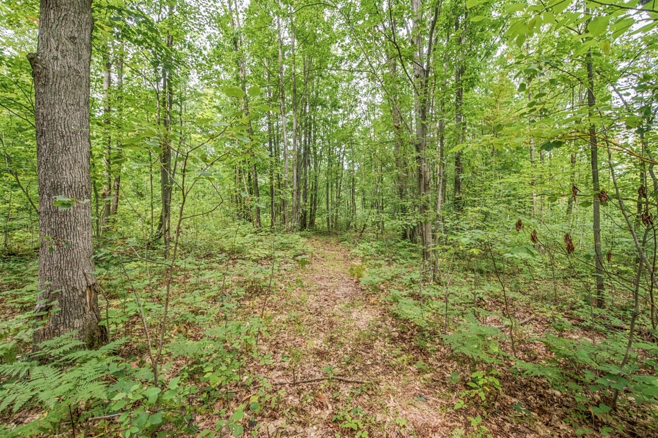 5 8 Mile Road Remus, MI 49340 - Photo 7 of 17 Gallery Image 7