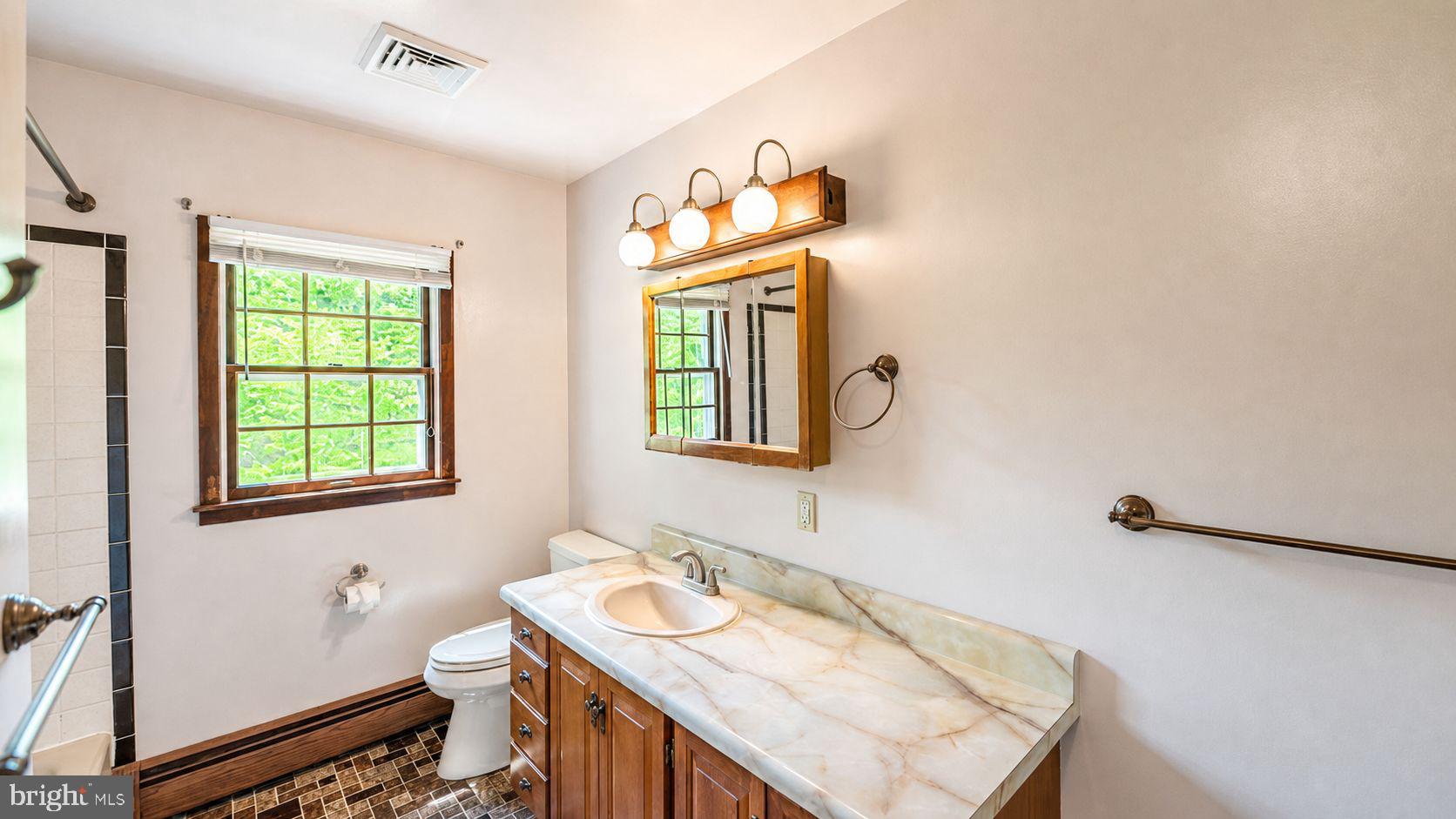 223 Trythall Road Elverson, PA 19520 - Photo 50 of 78 a bathroom with a sink a vanity and a mirror