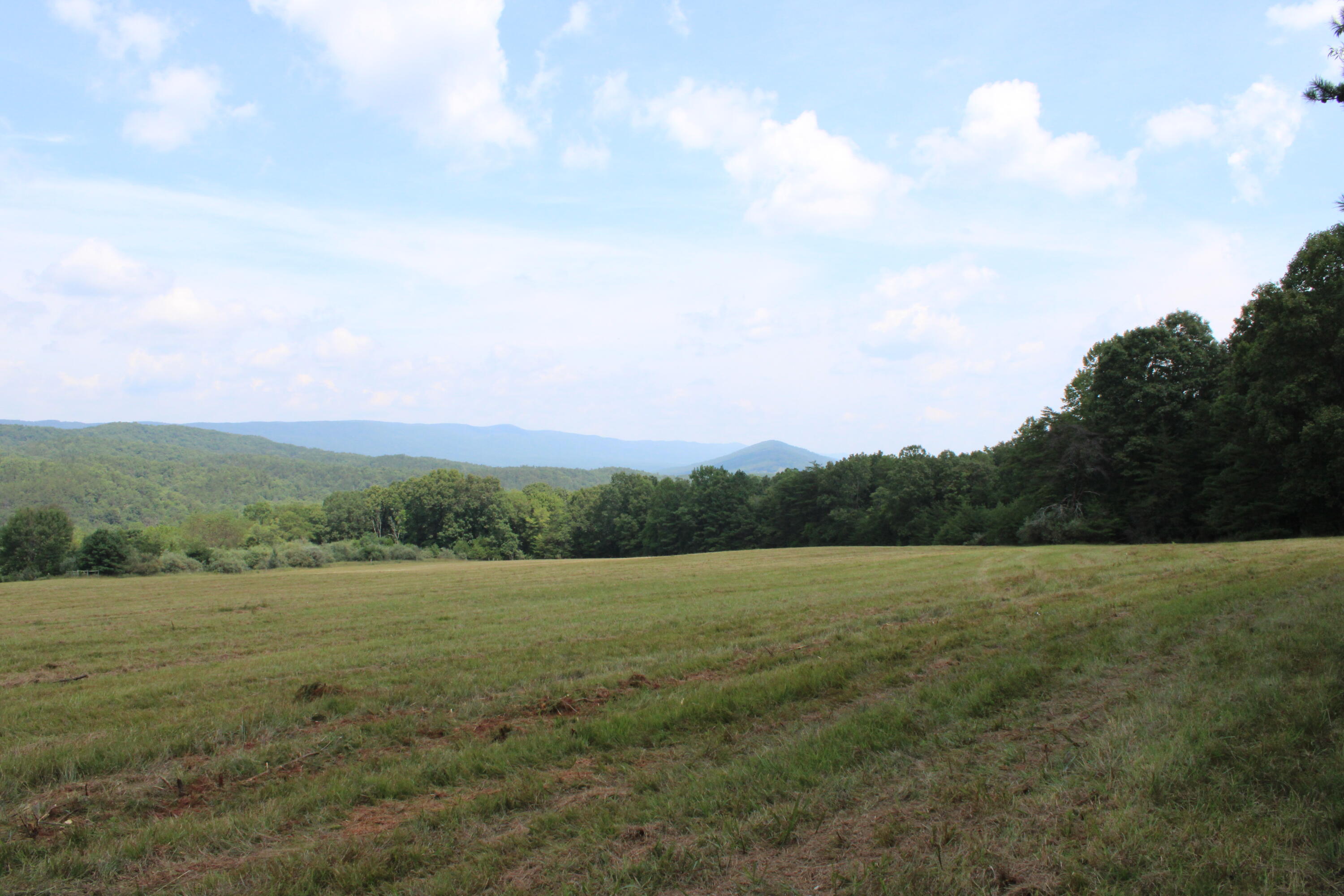 2816 Johns Creek Road New Castle, VA 24127 - Photo 4 of 96 IMG_0008