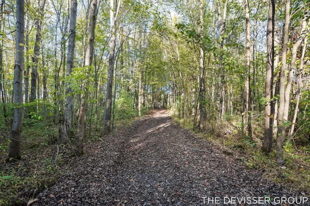 $250,000 | Vl Vl 34th Allegan Mi 49010, Allegan, MI 49010