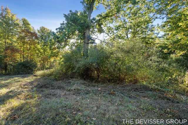 $250,000 | Vl Vl 34th Allegan Mi 49010, Allegan, MI 49010