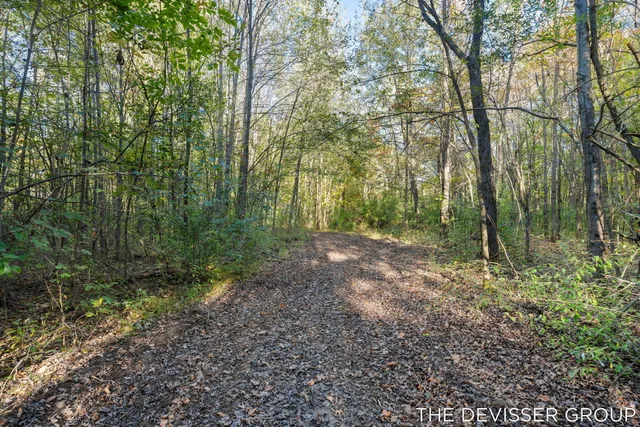 $250,000 | Vl Vl 34th Allegan Mi 49010, Allegan, MI 49010