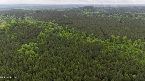 $344,000 | Bethlehem Road, Lauderdale, MS 39335