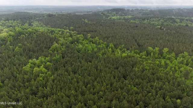 $344,000 | Bethlehem Road, Lauderdale, MS 39335