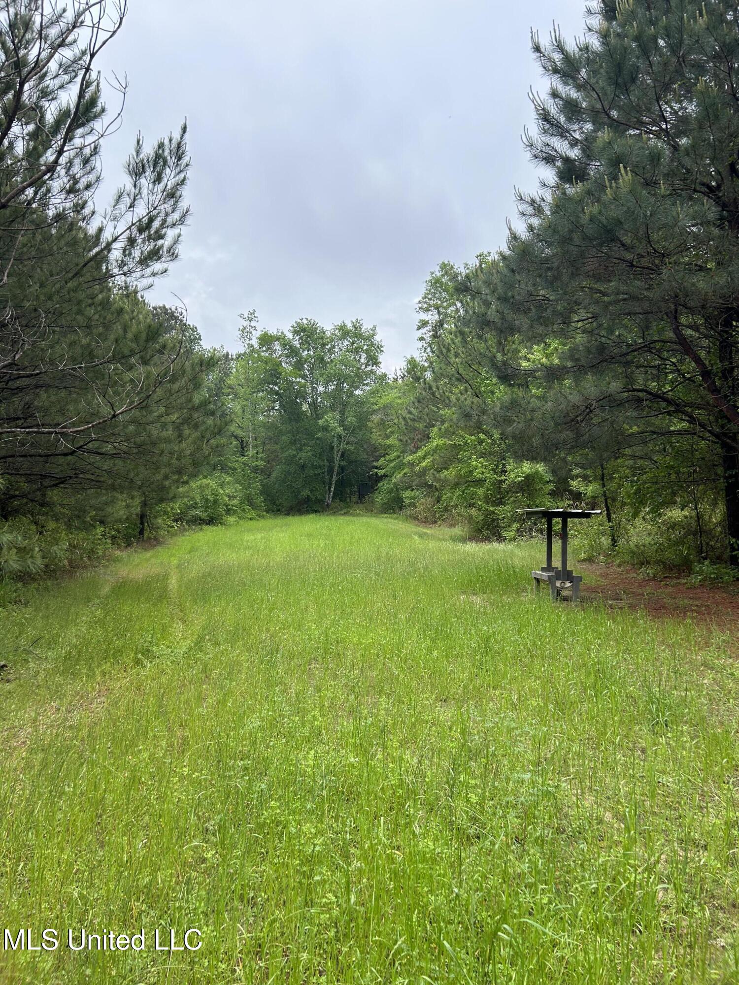 Bethlehem Road Lauderdale, MS 39335 - Photo 11 of 21 photo 11