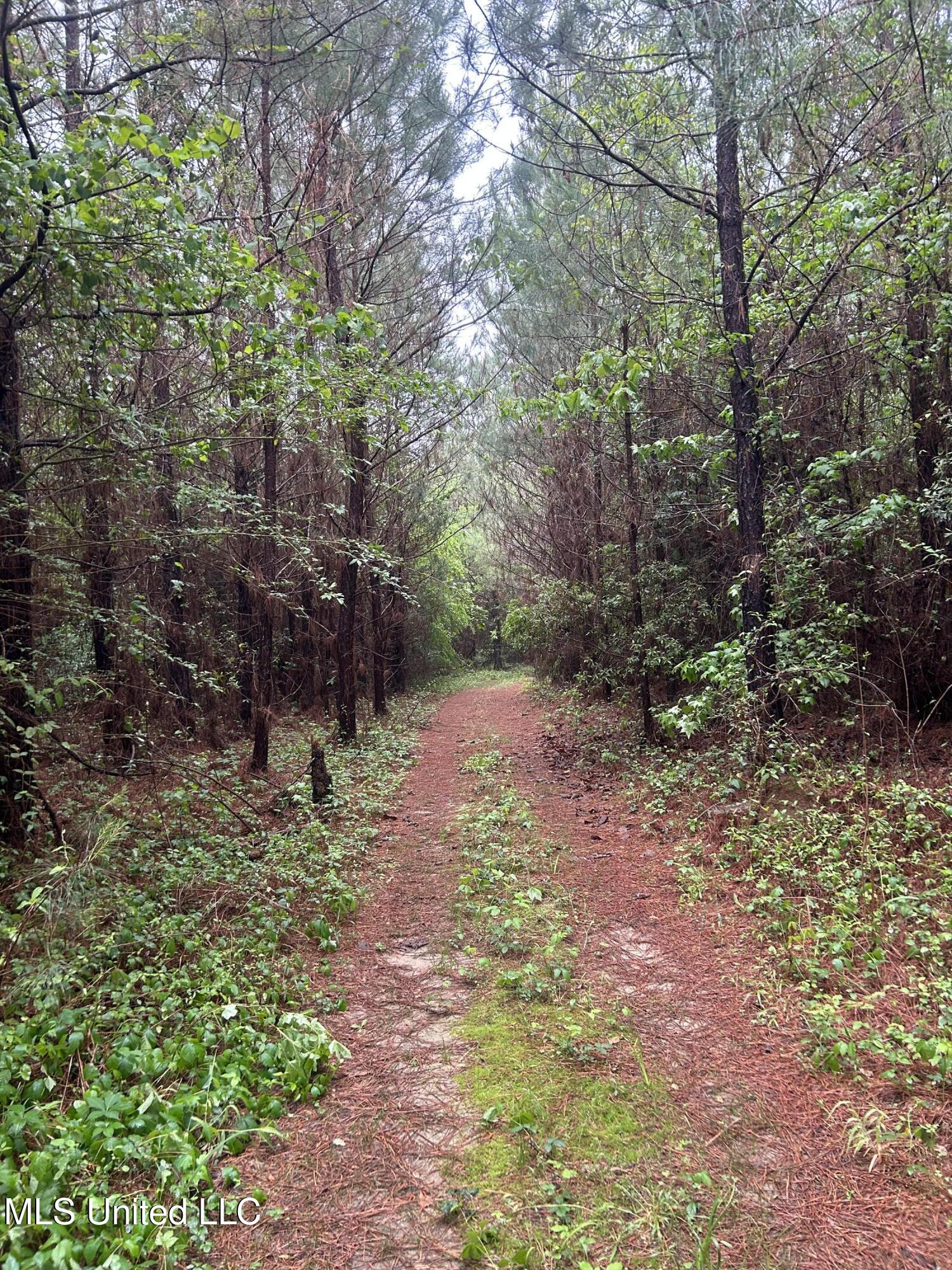 Bethlehem Road Lauderdale, MS 39335 - Photo 12 of 21 photo 12