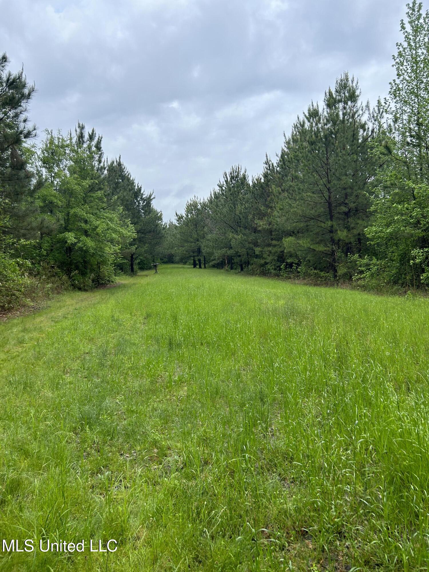 Bethlehem Road Lauderdale, MS 39335 - Photo 13 of 21 photo 13