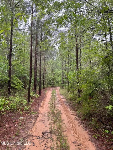 $344,000 | Bethlehem Road, Lauderdale, MS 39335
