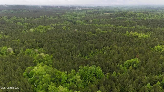 $344,000 | Bethlehem Road, Lauderdale, MS 39335