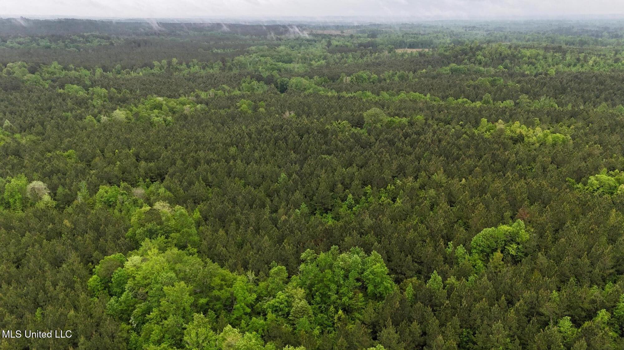 Bethlehem Road Lauderdale, MS 39335 - Photo 15 of 21 photo 15