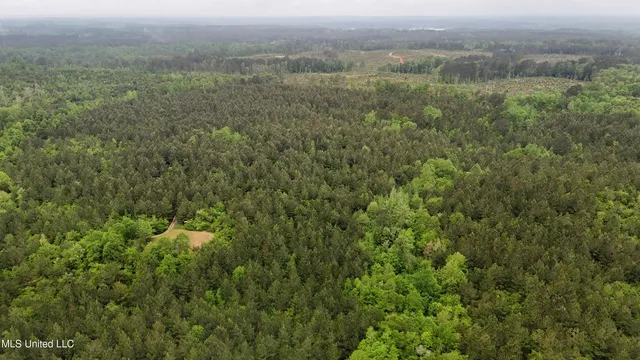 $344,000 | Bethlehem Road, Lauderdale, MS 39335