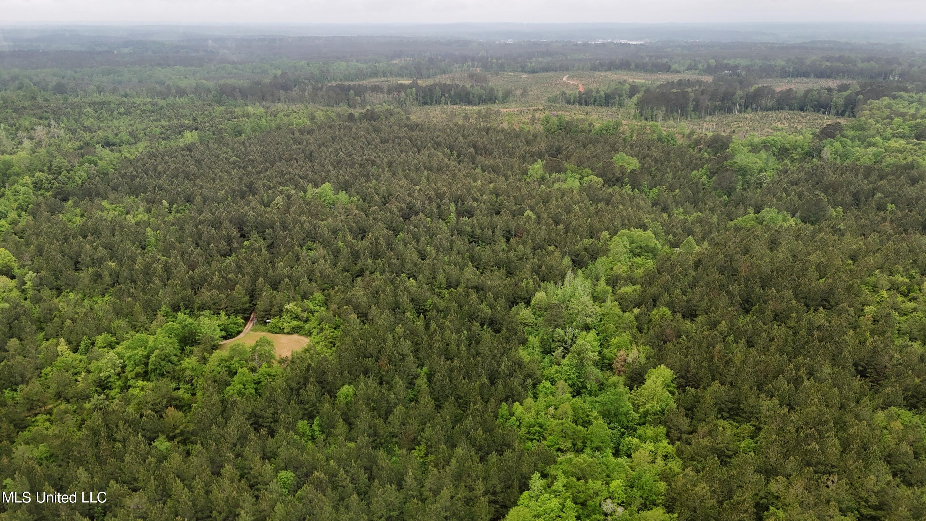 Bethlehem Road Lauderdale, MS 39335 - Photo 16 of 21 photo 16