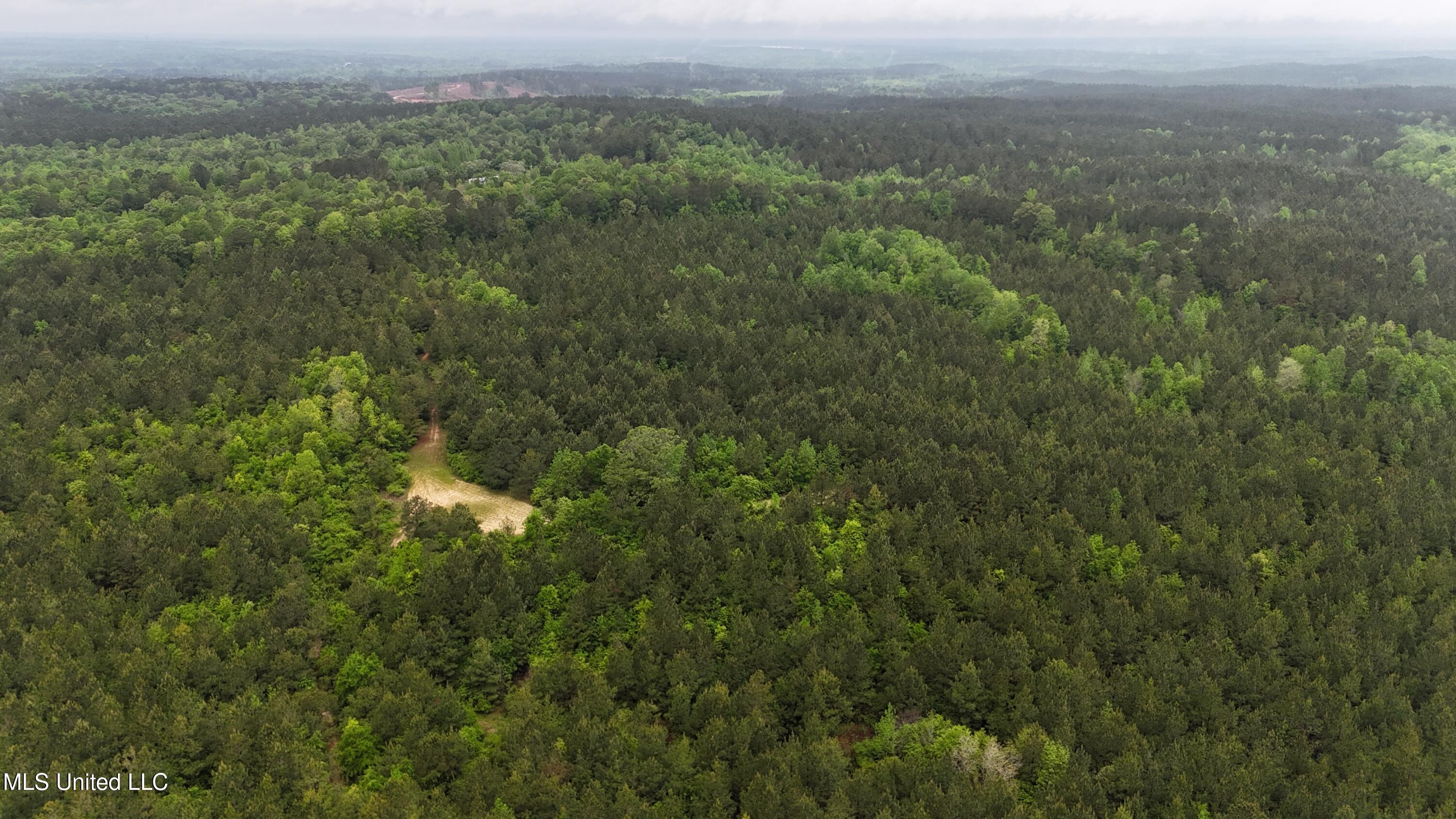 Bethlehem Road Lauderdale, MS 39335 - Photo 17 of 21 photo 17