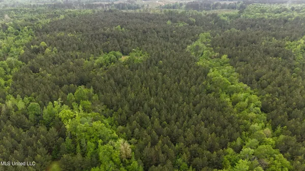 $344,000 | Bethlehem Road, Lauderdale, MS 39335