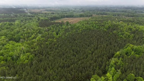 $344,000 | Bethlehem Road, Lauderdale, MS 39335