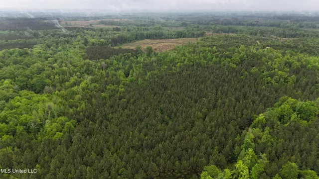 $344,000 | Bethlehem Road, Lauderdale, MS 39335