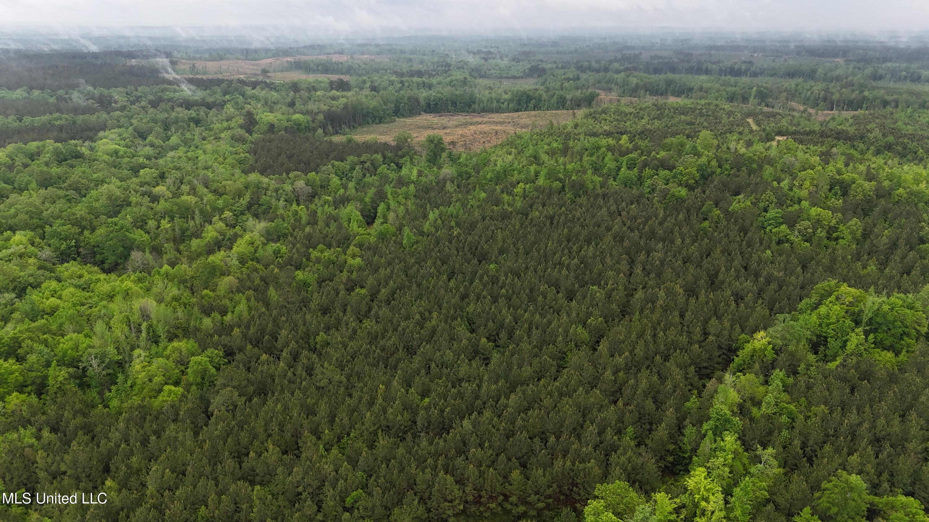 Bethlehem Road Lauderdale, MS 39335 - Photo 19 of 21 photo 19