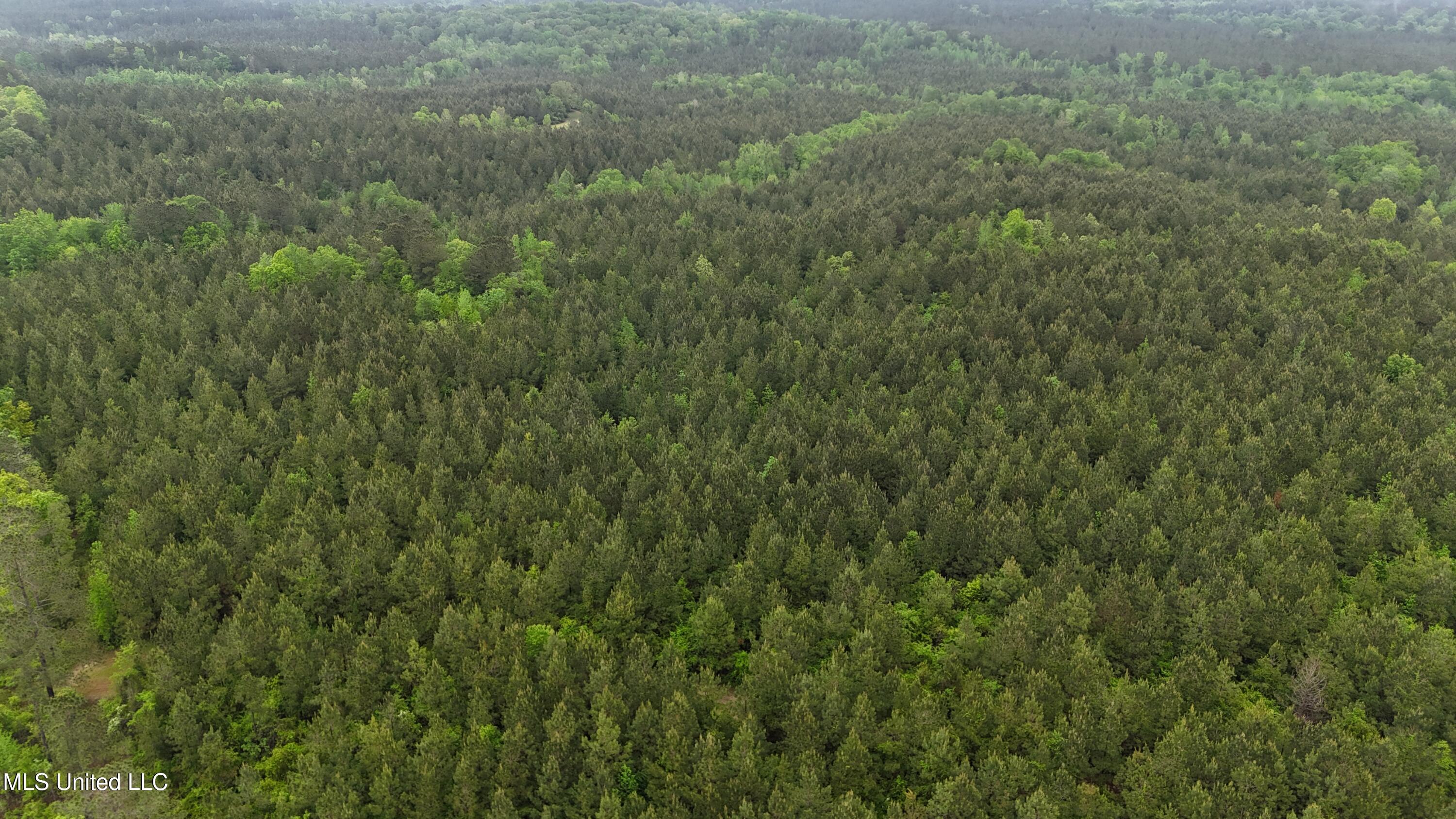 Bethlehem Road Lauderdale, MS 39335 - Photo 20 of 21 photo 20