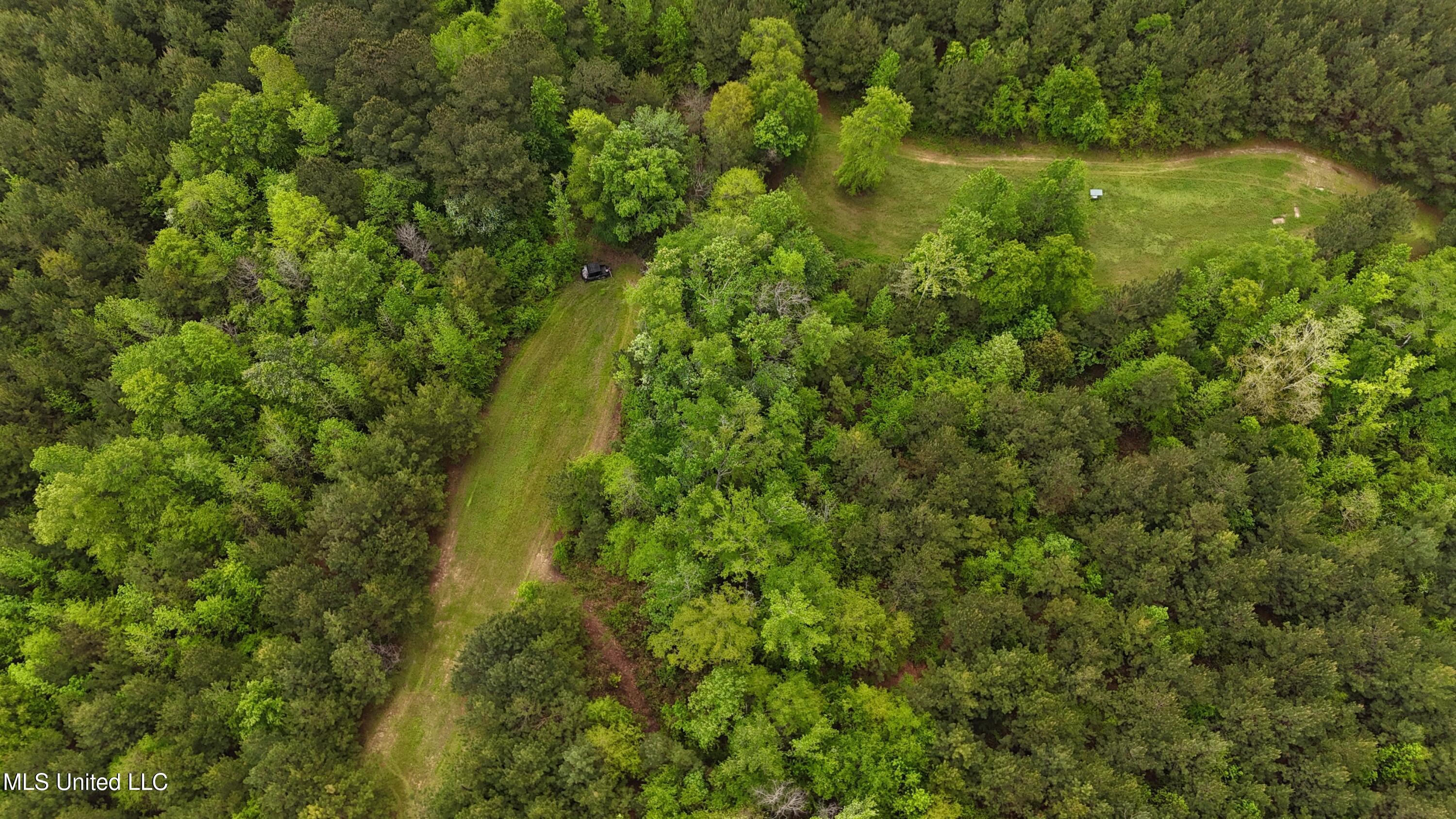 Bethlehem Road Lauderdale, MS 39335 - Photo 2 of 21 photo 2