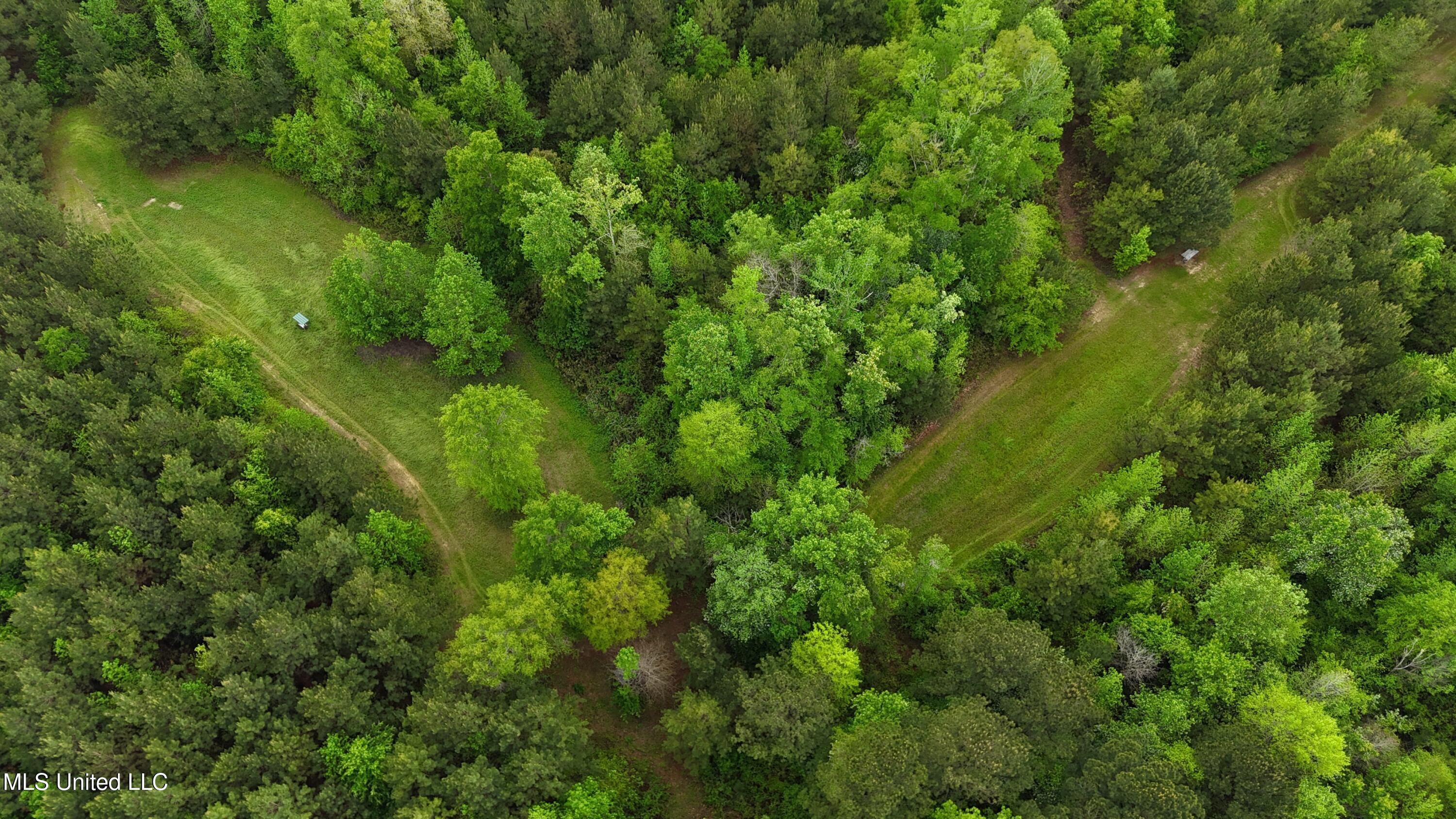 Bethlehem Road Lauderdale, MS 39335 - Photo 3 of 21 photo 3
